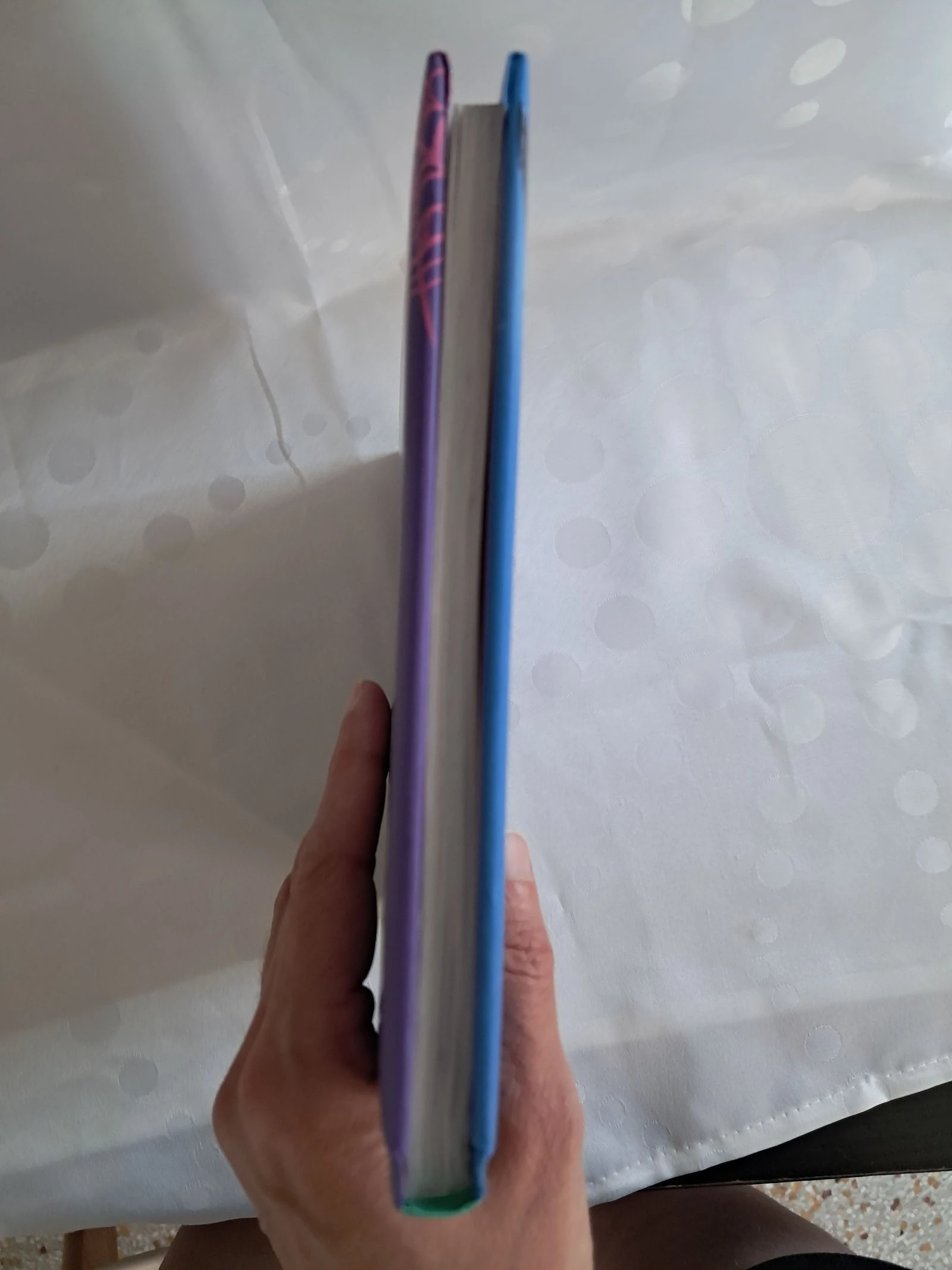 4 histórias de Vampirina – photo 5